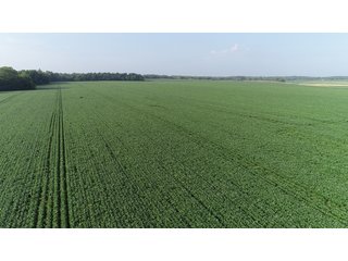 Tract 2 - Union County, Indiana Farmland - REAL ESTATE AUCTION - 805+/- ACRES IN 11 TRACTS IN UNION COUNTY, INDIANA